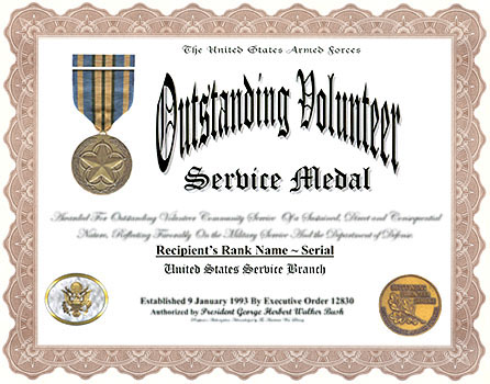 Community Service Award Template from www.amervets.com