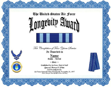 Bandschnalle Bandspange USA Air Force Longevity Service Ribbon Bar 