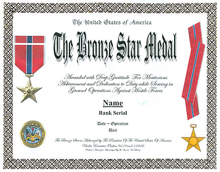 Bronze Star Display